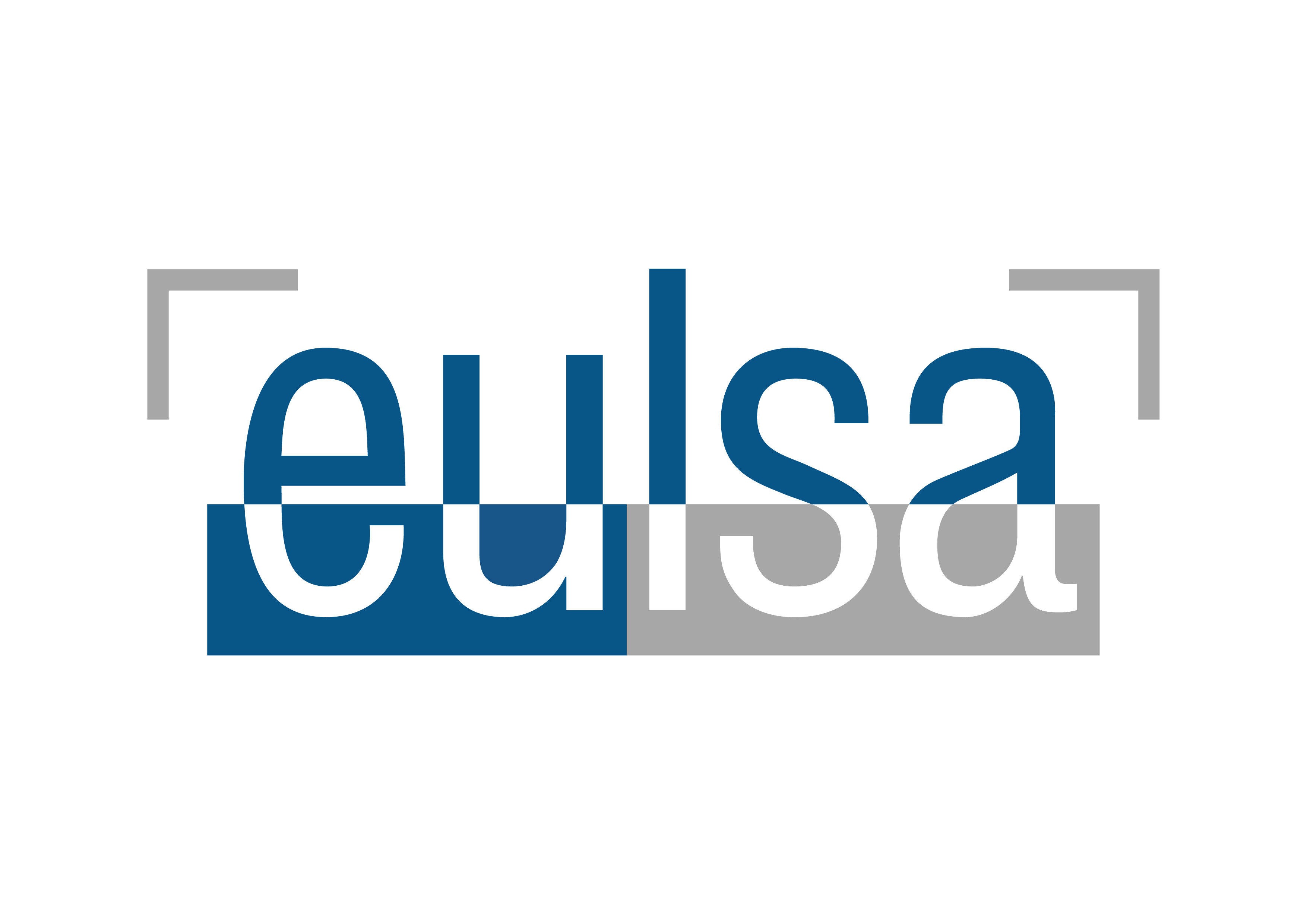 01 EULSA LOGO